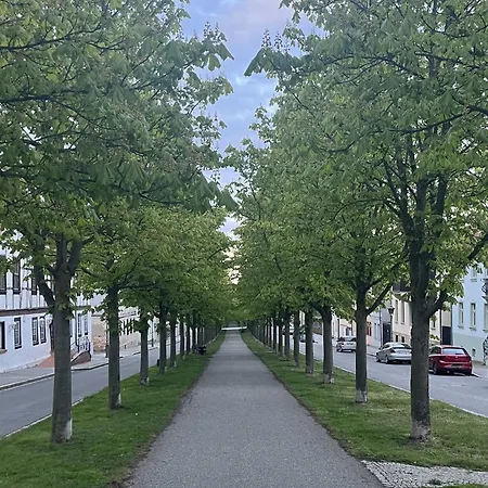 アパート Ferienwohnung Allee34 バレンシュテット
